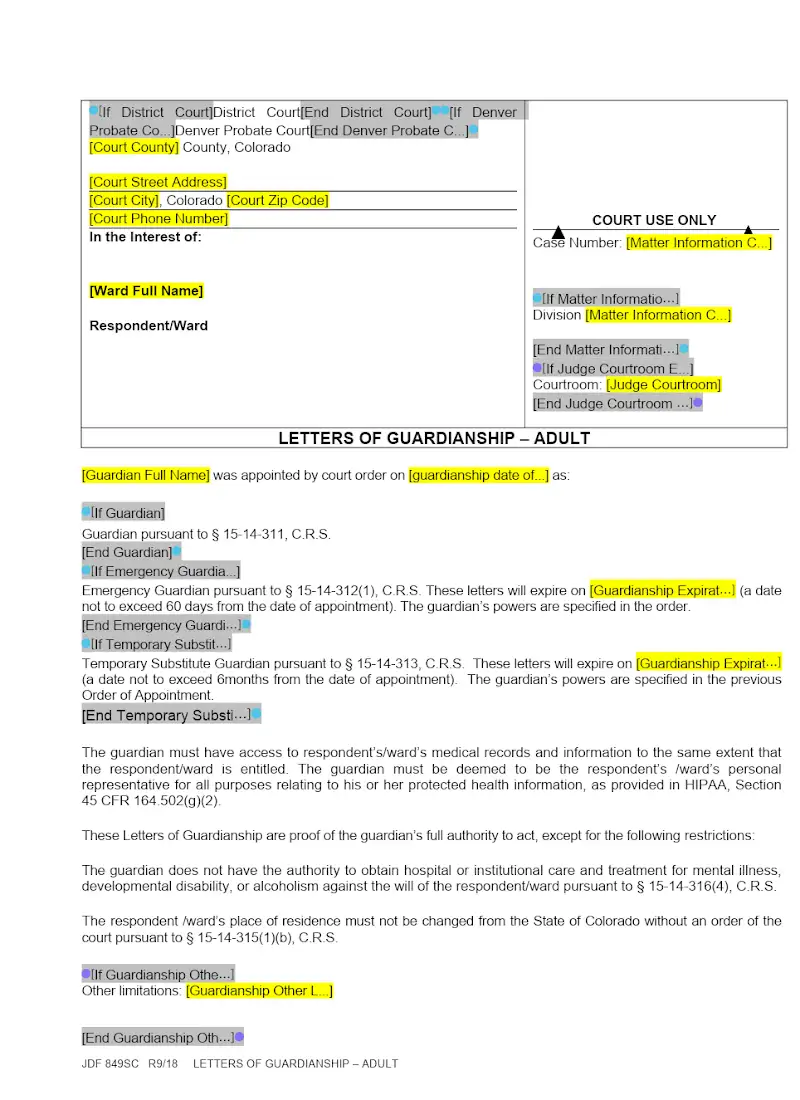Letters of Guardianship (JDF 849SC)