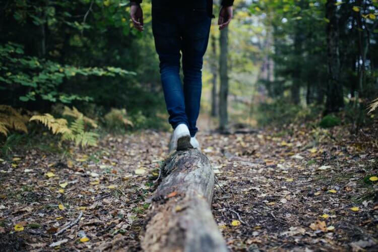 hiking in the woods