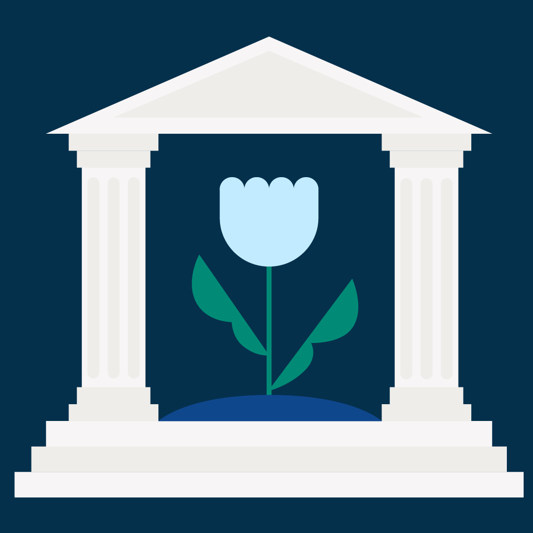 How to Become an Environmental Lawyer