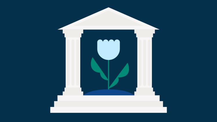How to Become an Environmental Lawyer
