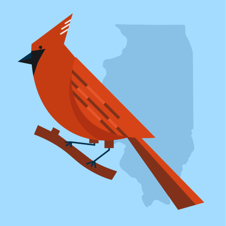 Illinois state bird